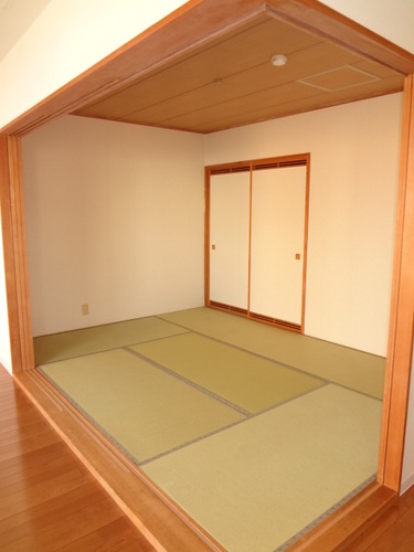 Other room space. Japanese style room