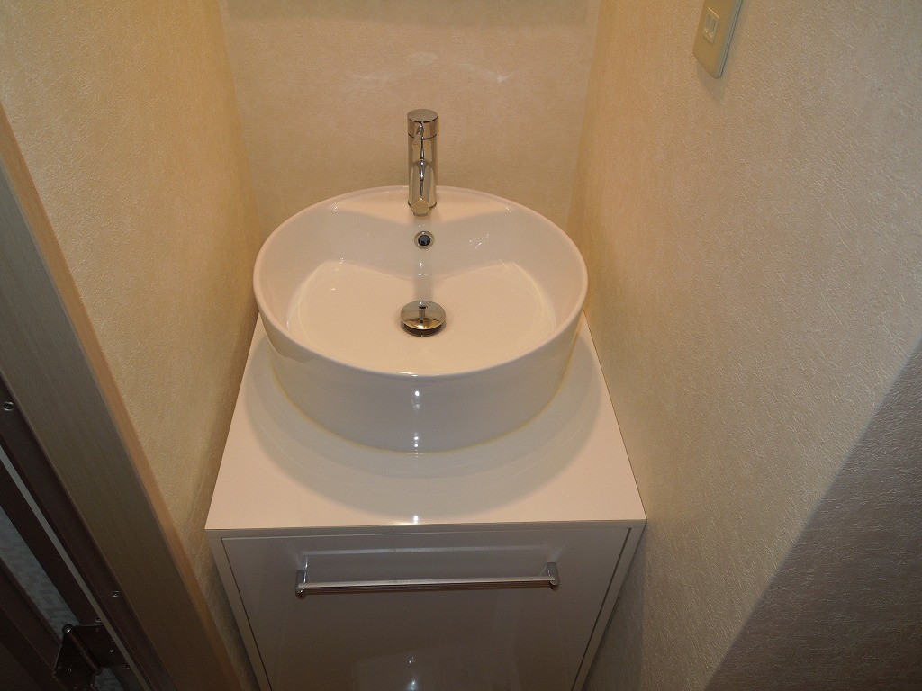 Washroom. Stylish basin