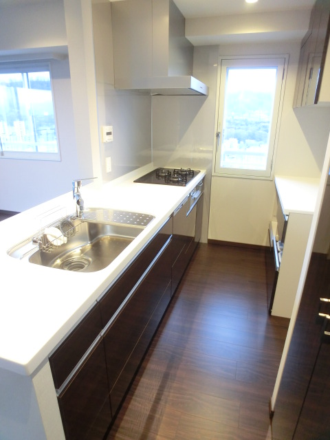 Kitchen. City gas, three-necked system Kitchen. There dishwasher. Storage space is also enough