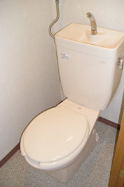 Toilet. Wide toilet ☆ 