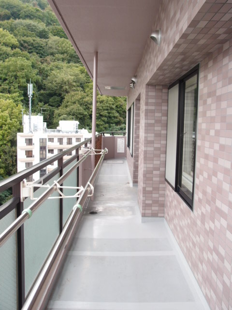 Balcony. Spacious balcony! Since it is a south-facing sunny!