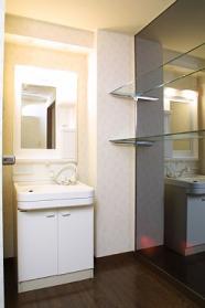 Washroom. Bathroom vanity