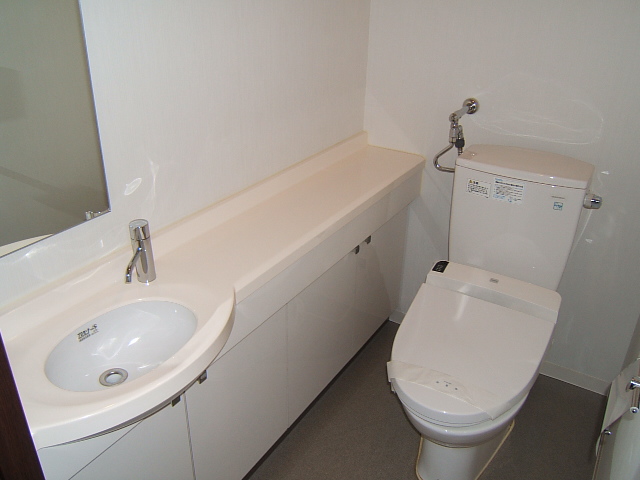 Toilet. With hand-washing facilities