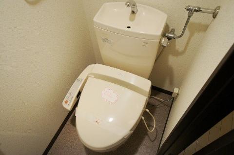 Toilet. Toilet with shower