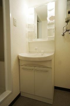 Washroom. Bathroom vanity