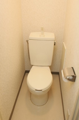 Toilet.  ※ It is a photograph of another in Room. 