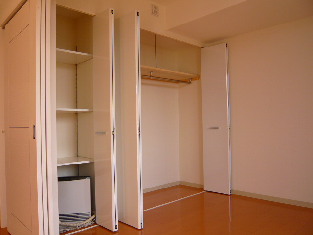 Other room space. Excellent storage capacity of the closet