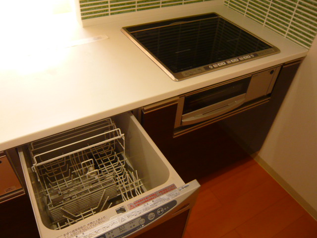 Kitchen. Dishwasher, IH cooking heater