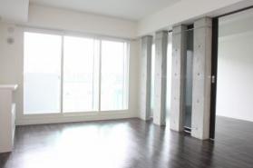 Living and room. Living