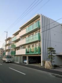 Building appearance