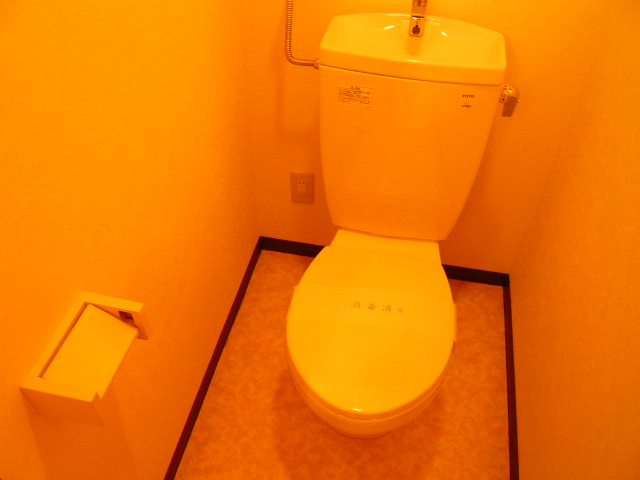 Toilet. A clean toilet space