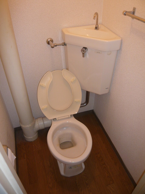 Toilet. Toilet is a picture. 