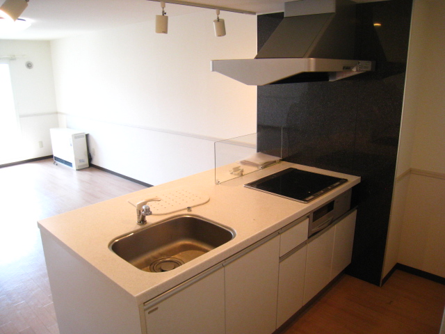 Kitchen. Island Kitchen