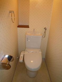 Toilet. It is with a bidet