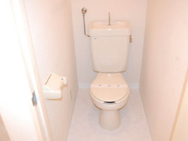 Toilet. Beautiful to have been furnished! 