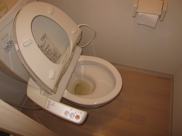 Toilet. Washlet is equipped. 