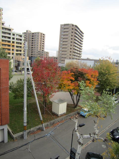 View. Park is visible from the window! Tall buildings without per diem good around! 