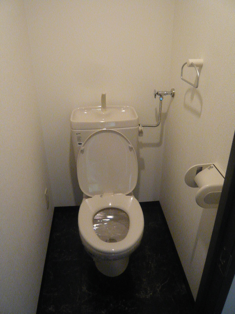 Toilet. It is a photograph of the toilet