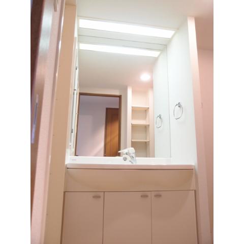 Washroom. Easy-to-use is a wash basin of good wide mirror! 