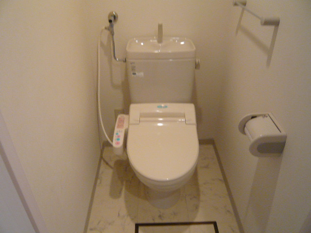 Toilet. Of course, it is shower toilet