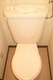 Toilet. Toilet space is also large