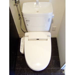 Toilet. Warm water washing toilet seat