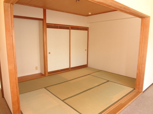 Other room space. Japanese style room