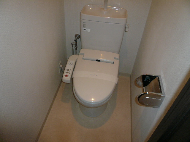 Toilet. It is with warm water washing toilet seat