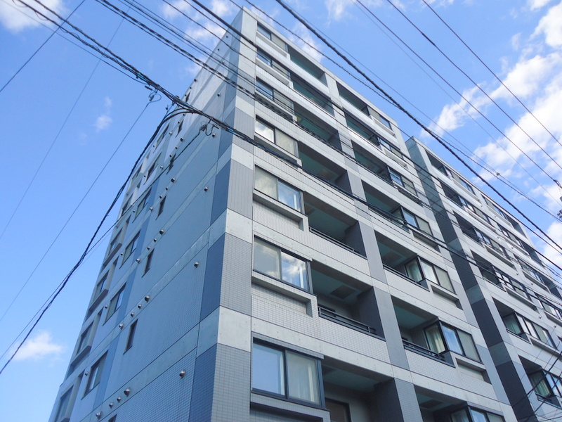 Building appearance. 8-story reinforced concrete