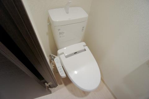 Toilet. Toilet with shower