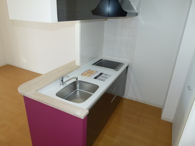 Kitchen. IH cooking heater systems with kitchen