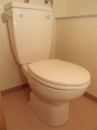 Toilet. Toilet