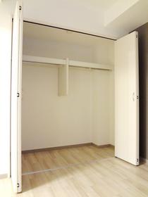 Other. Excellent storage capacity closet! 