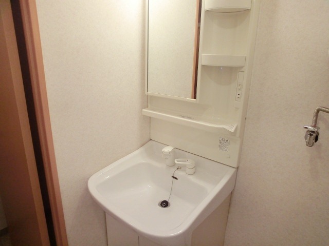 Washroom. Shampoo dresser