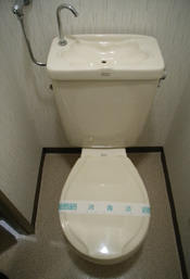 Toilet. Toilet