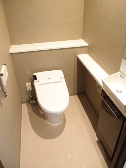 Toilet. Bidet, Clean toilets with hand-washing facilities!