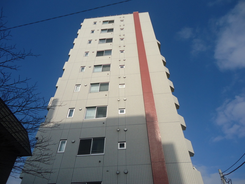 Building appearance. Reinforced concrete 10-storey