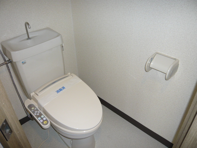 Toilet. Bidet with toilet