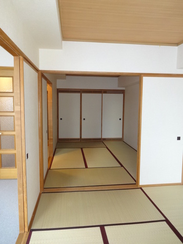 Other room space. Japanese style room