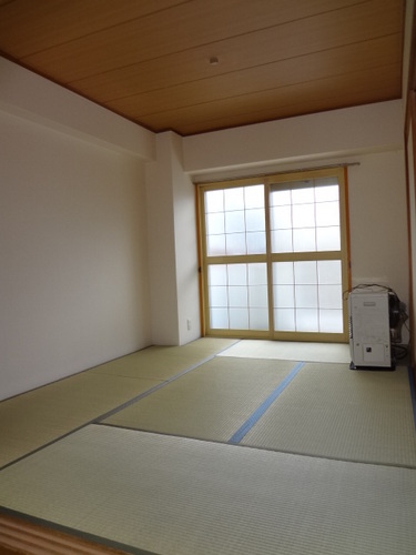 Other room space. Japanese style room