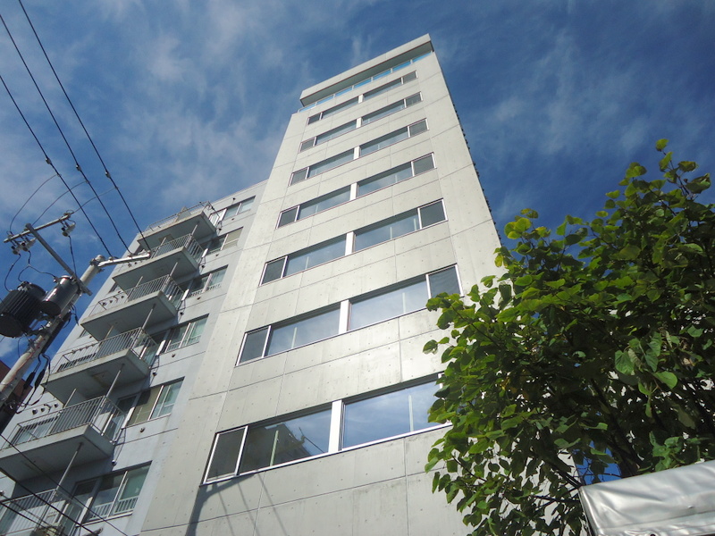 Building appearance. Reinforced concrete 10-storey