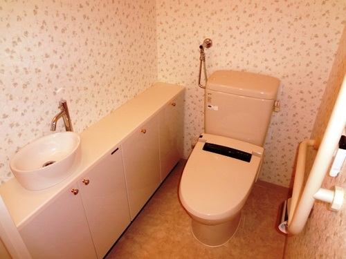 Toilet. With hand washing! It is a safe spacious toilet in the elderly! 