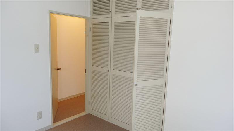 Non-living room. Western-style closet