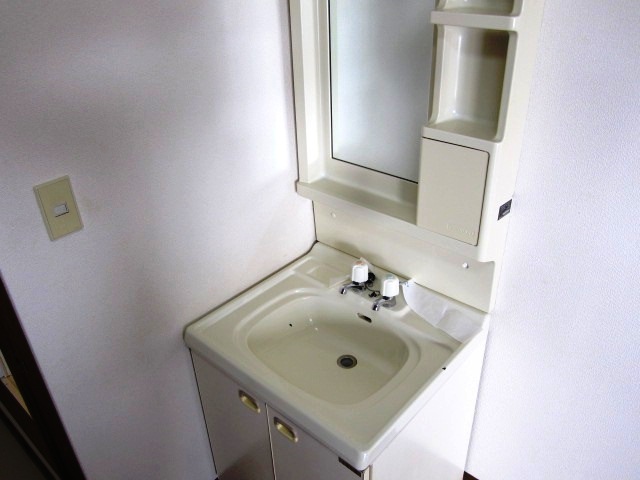 Washroom. Bathroom vanity