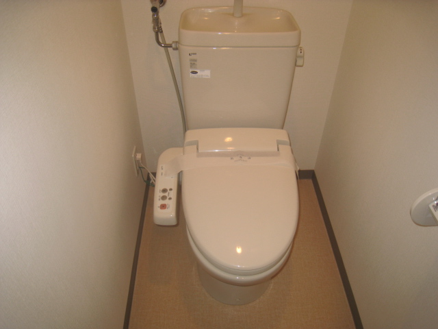 Toilet. It is with warm water washing toilet seat