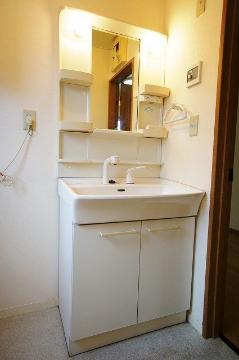 Washroom. Bathroom Vanity