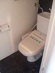 Toilet. Bidet with a toilet