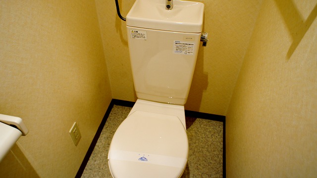 Toilet