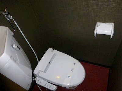 Toilet. The room is beautifully renovated of pet-friendly apartment