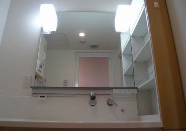 Washroom. There is a feeling of cleanliness is with shampoo dresser! 